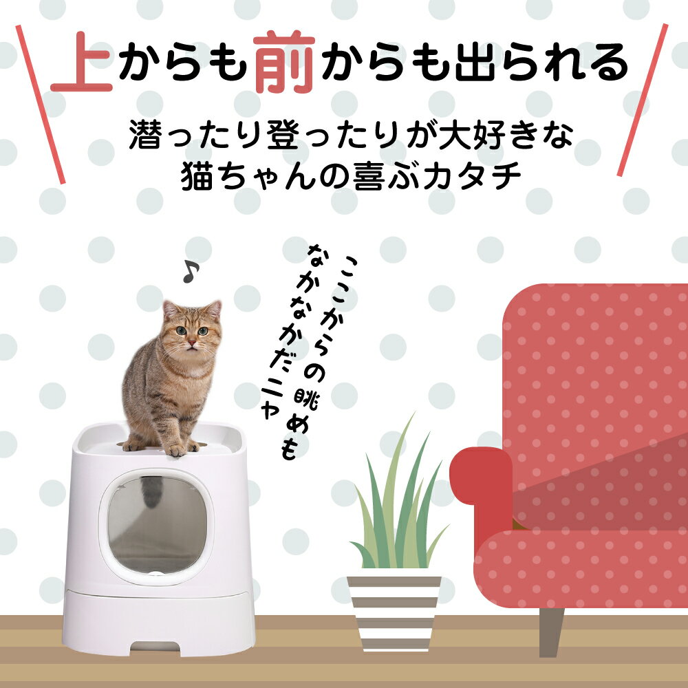 50 Off 猫 トイレ 上から 猫トイレ 上から入る 猫用 トイレ 本体 猫砂が飛び散らない 2ドア式 大型 大きい 多頭飼い 猫トイレ本体 おしゃれ 猫砂 掃除 飛び散り防止 ねこ ネコ スコップ付 売れ筋 Www Jsht Or Jp 50 Off 猫 トイレ 上から 猫トイレ 上から入る 猫用 トイレ 本体 猫砂が飛び散らない 2ドア式 大型 大きい 多頭飼い 猫トイレ本体 おしゃれ 猫砂 掃除 飛び散り防止 ねこ ネコ スコップ付 売れ筋 Www Jsht Or Jp