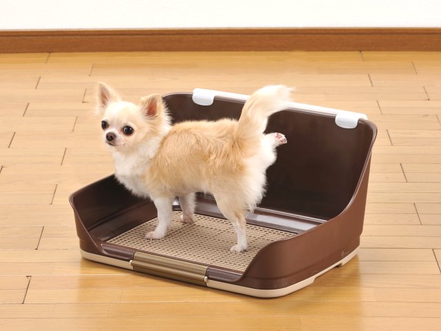 ボンビアルコン しつけるウォールトレー S レギュラー 犬 トイレトレー トイレ 超小型犬 小型犬 男の子 トイレトレーニング トイレ しつけ 躾 トイトレ ブラウン