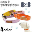アゼリア ルモンド ワンタッチ カラー XS 犬用 胴輪 犬 服 柔らかい おしゃれ シンプル 散歩 お出かけ 小型犬 ドッグ AZERIA