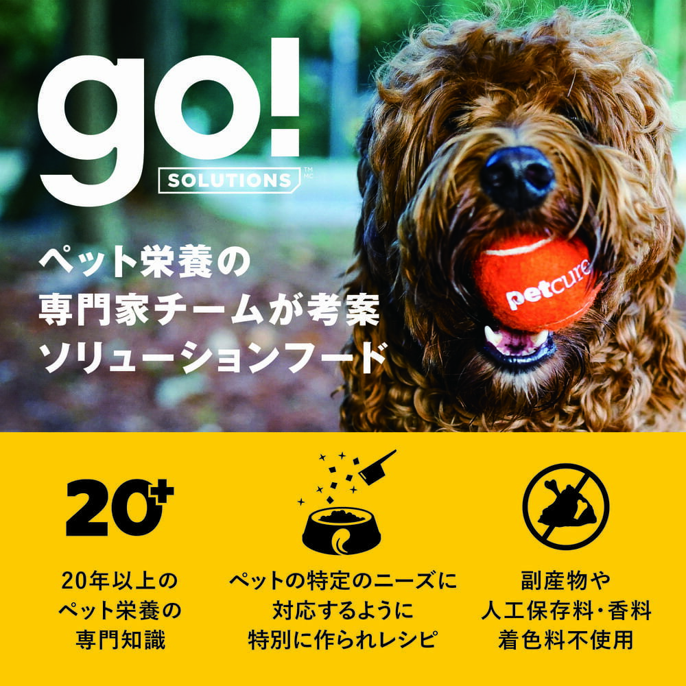 GO! ���� �����˥ܥ� ������� ���쥤��ե꡼ �����󡢥��������ܥ��å��쥷�� 2.3kg ��γ �� ���ѥա��� �ɥå��ա��� �ɥ饤 �⥿��ѥ� ��ú�岽ʪ ̵ź��