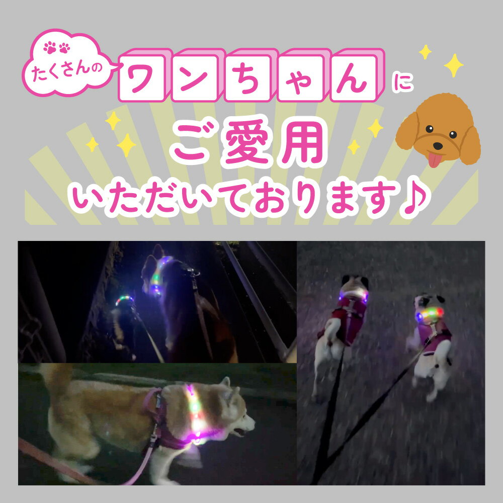 犬 光る首輪 光る ライト 首輪 レインボー首輪 猫 ペット カラー リード 光 虹色 6色 LED 長さ55cm カット自由 サイズ調整可能 点灯 点滅 蛍光 USB 充電 充電式 夜間 散歩 安全 防犯 事故防止 小型犬 中型犬 大型犬 おしゃれ かわいい わが家のアイドル 3