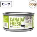 ペットカインド カナダフレッシュ 猫用缶詰 ビーフ SAP 85g 猫 フード キャットフード 缶詰 ウェットフード 缶 ウェット 全年齢対応 PetKind