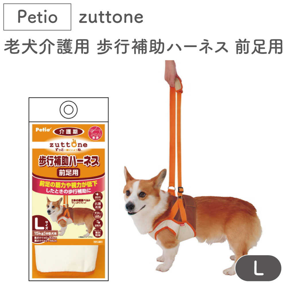 ペティオ zuttone 老犬介護用 歩行補助ハーネス 前足用 L 犬 ハーネス シニア用 犬用 介護用品 ベルト式 メッシュ 中型犬 Petio ずっとね