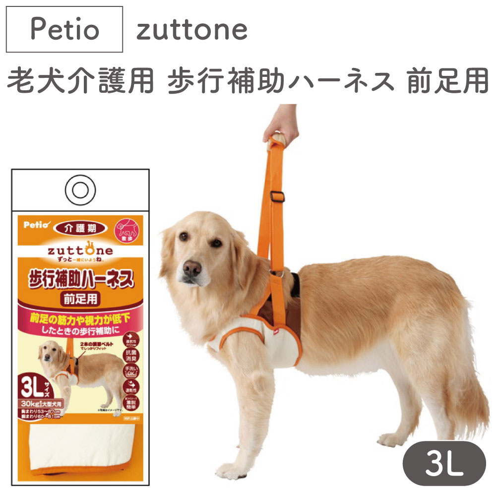 ペティオ zuttone 老犬介護用 歩行補助ハーネス 前足用 3L 犬 ハーネス シニア用 犬用 介護用品 ベルト式 メッシュ 大型犬 Petio ずっとね