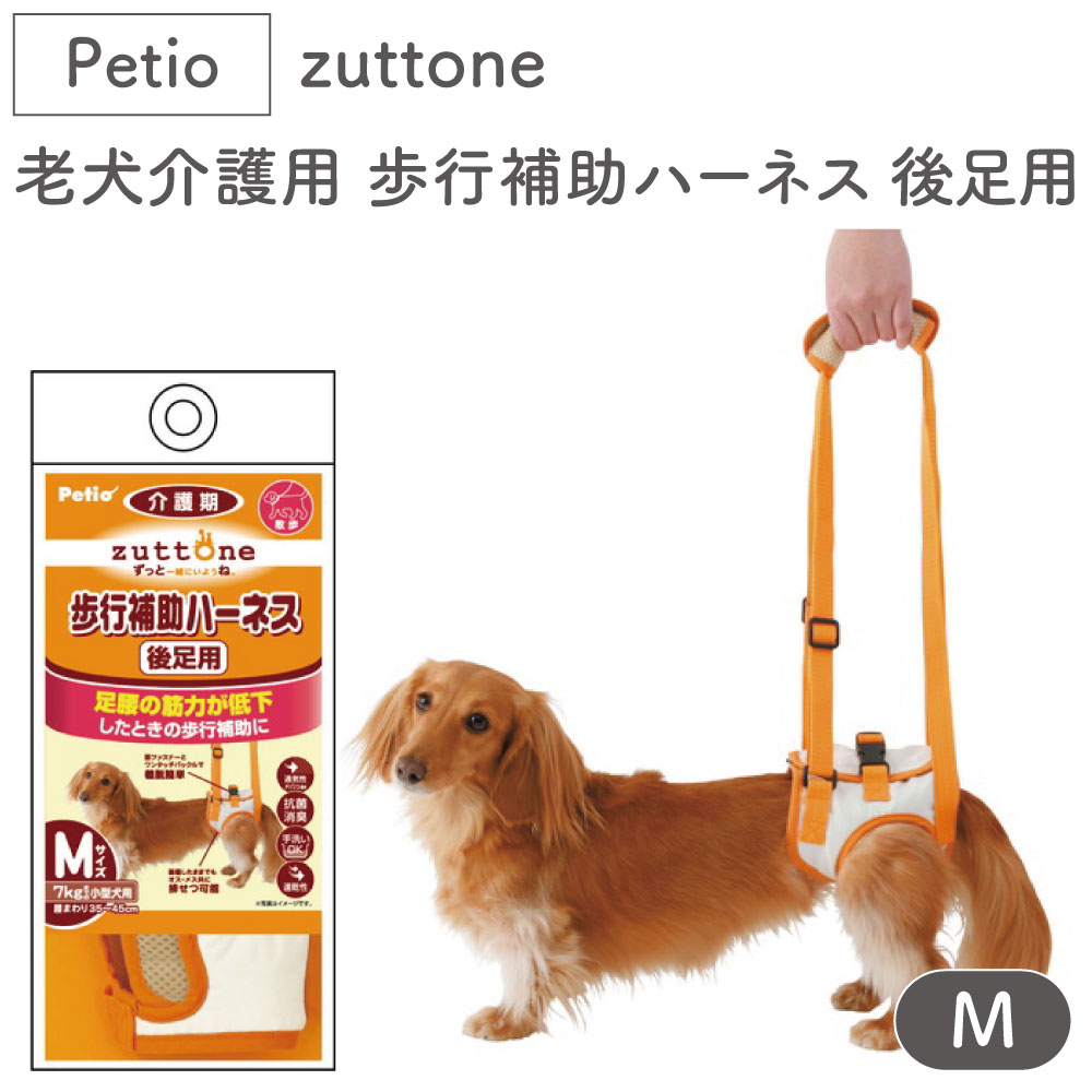 ペティオ zuttone 老犬介護用 歩行補助ハーネス 後足用 M 犬 ハーネス シニア用 犬用 介護用品 ベルト式 メッシュ 小型犬 Petio ずっとね