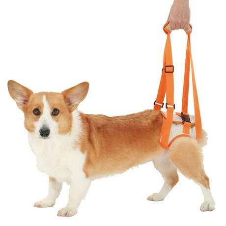 ペティオ zuttone 老犬介護用 歩行補助ハーネス 後足用 L 犬 ハーネス シニア用 犬用 介護用品 ベルト式 メッシュ 中型犬 Petio ずっとね happiport-10002453 ハピポート 楽天市場店 サンプル画像2