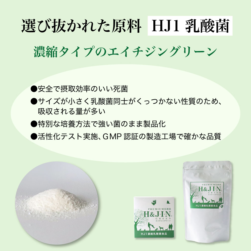世界を代表する優れた力と特長をもつ乳酸菌 Premium 乳酸菌 エイチジングリーン Hjin 人用 150g エイチアンドジン Jin 善玉菌 Hj Hj1 セール 腸活 死菌 ジン 食品 サプリメント