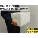 発泡スチロール容器 発砲スチロール ギフト 贈答用 大きい 保冷箱 クーラーボックス 宅配便100サイズ 保冷 保温 ふたつき 軽量 丈夫 魚 釣り BBQ お...