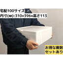 発泡スチロール容器 【T-2A】 発砲スチロール ギフト 贈答用 大きい 保冷箱 クーラーボックス 宅配便100サイズ 保冷 保温 ふたつき 軽量 丈夫 魚 釣...