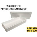 発泡スチロール容器 【BL-4BZ (タラバ)】 発砲スチロール ギフト 贈答用 大きい 保冷箱 クーラーボックス 宅配 100サイズ 保冷 保温 ふたつき 軽...