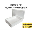 発泡スチロール容器 【DSF-13H】 発砲スチロール ギフト 贈答用 小さい 保冷箱 クーラーボックス 宅配便80サイズ 保冷 保温 ふたつき 軽量 収納 B...