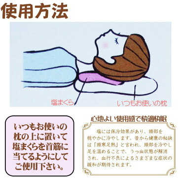 【母の日ギフト】【在庫限り】【地の塩社】【塩まくら】快眠 塩まくら【ギンガムチェック】【ブルー・ピンク】カバー付き 血行促進 保冷効果【塩枕】【RCP】