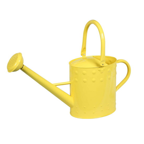 ���������ϡۥ��祦����W65.5��D21.0��H46.5�ۡ�81516/81517/81519�ۡʥ��꡼�󡦥���������AGED��ǡ��Ϫ �ץ��ȥ����ƥ� �����ǥ˥󥰥����ʥ��� ��� ����