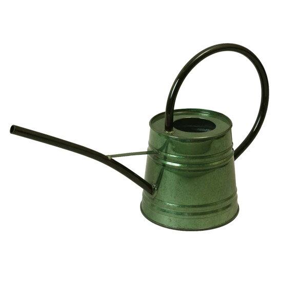 ���������ϡۥ��祦����W37.5��D13.0��H21.5�ۡ�81535/81536/81537/81538/81539�ۡʥ֥롼�����꡼�󡦥����������֥�å���AGED��ǡ��Ϫ �ץ��ȥ����ƥ� �����ǥ˥󥰥����ʥ��� ��� ����