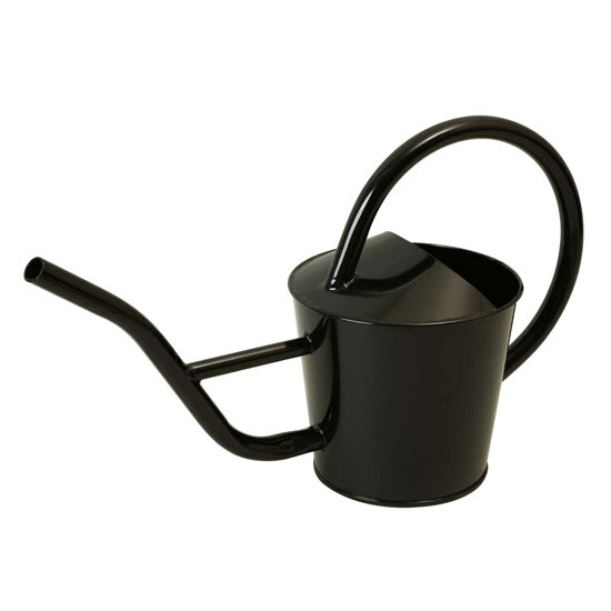 ���������ϡۥ��祦����W41.5��D17.0��H25.0�ۡ�81501/81503/81504�ۡʥ��꡼�󡦥֥�å���AGED��ǡ��Ϫ �ץ��ȥ����ƥ� �����ǥ˥󥰥����ʥ��� ��� ����