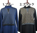 長袖チュニックブラウス フリー ハイネック ロング丈 春 秋 冬 シニアファッション 高齢者 婦人服 ミセス シニア 60代 70代 プレゼント