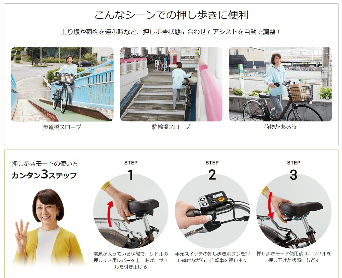 ��ư��ž�� �ѥʥ��˥å� �ӥ� L 20 �����⤭ 20�� 12.0Ah BE-FLW032 2025ǯ �����إ��ꥢ����̵�����ϰ�����