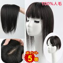 【9/1-9/30限定!ポイント5倍!※上記バナーより要エントリー】【返品交換OK!】 人毛 ウィッグ 前髪ウィッグ 人毛100% 部分ウィッグ 頭頂部 白髪隠し 送料無料 ポイントウィッグ 薄毛対策 かつら つけ毛 トップカバー 増毛 薄毛 ナチュラル 自然 つむじ付き 軽量