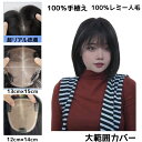 【8/1-8/31限定最大100%ポイントバック※要エントリー】返品交換OK 人毛ウィッグ 総手植え 「大面積12×14cm 13×15cm」医療用 前髪ウィッグ 人毛100% 部分ウィッグ ポイントウィッグ 頭頂部 薄毛 増毛 部分かつら 人毛 ウィッグ 自然 白髪かくし つけ毛 トップカバー