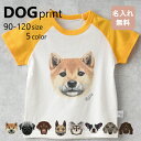 ◇◇子供Tシャツ 半袖 無地 犬柄 5色 90/100/110/120◇◇ ■生産地：中国 ■素材・成分：コットン100％ ■商品札：無し ・190g/m（5.6oz）　17/-天竺 ・綿100% ※ホワイトのみ綿糸縫製 ※照明の具合で実際とは色合いが異なる場合があります。