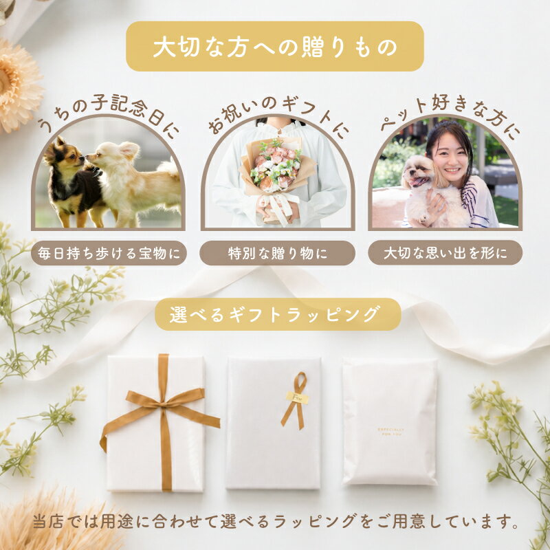 サンプル画像3