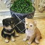 柴犬(子犬)2匹セット:赤柴×1・黒柴×1 ガーデニング 犬 置物 インテリア 動物 オブジェ 子犬 豆柴