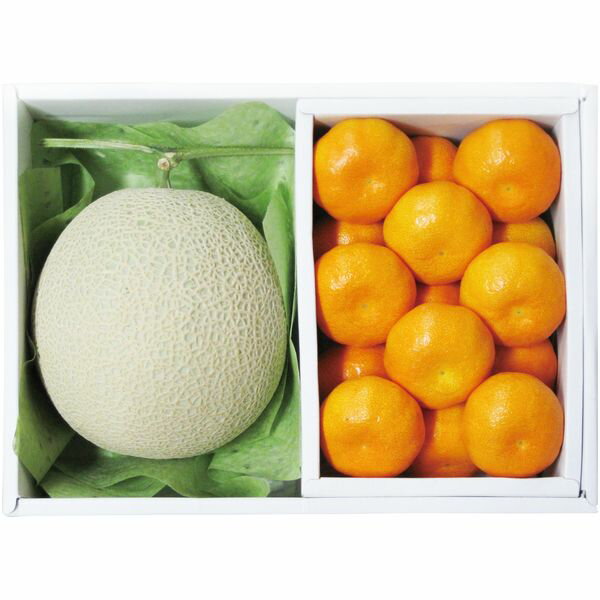 お歳暮 送料無料 フルーツ ギフト ダイワ果園 アールスメロン 1玉 約1.2kg 和歌山 みかん 約1.2kg セット 詰め合わせ 果物 果実 旬 産地直送 グルメ 食品 食べ物 御歳暮 2025 お歳暮ギフト 贈り物 お返し 挨拶 お礼 会社 ランキング 人気 おすすめ(4)