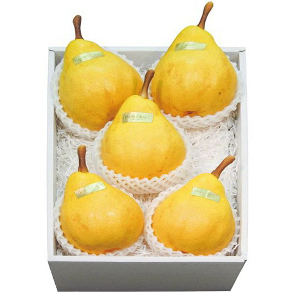 お歳暮 送料無料 フルーツ ギフト 新潟産 ルレクチェ 洋梨 5〜6玉 約1.2kg セット 詰め合わせ 洋なし 希少 果物 果実 旬 産地直送 グルメ 食品 ...