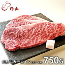内祝い お返し 送料無料 肉 和牛 ギフト お取り寄せ 東京人形町日山 山形牛 サーロインステーキ 計750g 国産 セット 詰め合わせ 出産内祝い 入学 卒業...