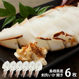 内祝い お返し 送料無料 海鮮 惣菜 ギフト お取り寄せグルメ 島根県産 剣先いか 開き 6枚 セット 詰め合わせ 冷凍便 出産内祝い 結婚内祝い 祝い 引き出物 香典返し 快気祝い お祝い返し 引越し 挨拶 お礼 プレゼント メーカー直送 【代引不可】