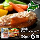 内祝い 内祝 お返し メーカー直送 送料無料 惣菜 ギフト 北海道 ビーフハンバーグ 6個 セット 詰め合わせ 035N007 出産内祝い 入学 卒業 祝い 結...