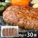 内祝い 内祝 お返し メーカー直送 送料無料 惣菜 ギフト ビッグ ハンバーグ 計30個 セット 詰め合わせ ボリュームたっぷり 出産内祝い 結婚内祝い 結婚祝い 出産祝い 引き出物 香典返し 快気祝い お祝い返し 引越し 挨拶 お礼 母の日 プレゼント ははの日 【代引不可】