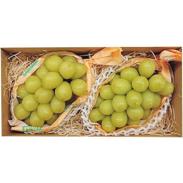 お歳暮 送料無料 果物 ギフト フルーツ ぶどう ブドウ 葡萄 長野県産 シャインマスカット 2房 セット 詰め合わせ 皮ごと 旬の 国産 果実 食品 グルメ 食べ物 御歳暮 2025 お歳暮ギフト 贈り物 お返し 挨拶 お礼 会社 ランキング 人気 おすすめ