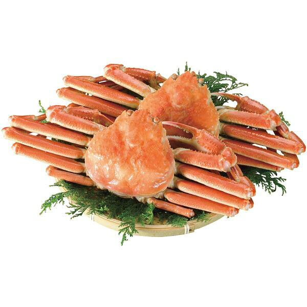 お歳暮 冬ギフト 送料無料 海鮮 ギフト 蟹 カニ かに ボイルずわいがに 姿 2尾 計1kg セット 詰め合わせ 海産物 魚介類 冷凍 お取り寄せ グルメ 食品 食べ物 御歳暮 2026 お歳暮ギフト 贈り物 お返し 挨拶 お礼 会社 ランキング 人気 おすすめ