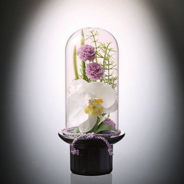 内祝い お返し 送料無料 花 ギフト 造花 アートフラワー プリマ ガラスドーム供花 胡蝶蘭 仏壇 仏前 仏具 引き出物 四十九日 引出物 お返し お悔み 喪中 法事 お供え 初盆 満中陰志 忌明け 49日 挨拶状 粗供養 品物 お礼 PRSY-0144B