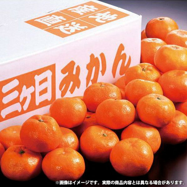お歳暮 送料無料 フルーツ ギフト 国産 静岡県産 三ケ日みかん みかん Sサイズ 約3kg セット 蜜柑 ミカン 詰め合わせ 果物 くだもの 果実 お取り寄せ グルメ 食品 御歳暮 2025 お歳暮ギフト 贈り物 お返し 挨拶 お礼 会社 ランキング 人気 おすすめ YO-430(4)