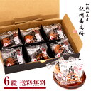 【メール便 送料無料】内祝い お返し 紀州南高梅 お歳暮 冬ギフト ギフト 6粒入り 梅干し はちみつ 個包装 セット 詰合せ 【メーカー包装済 外のし対応】 ...