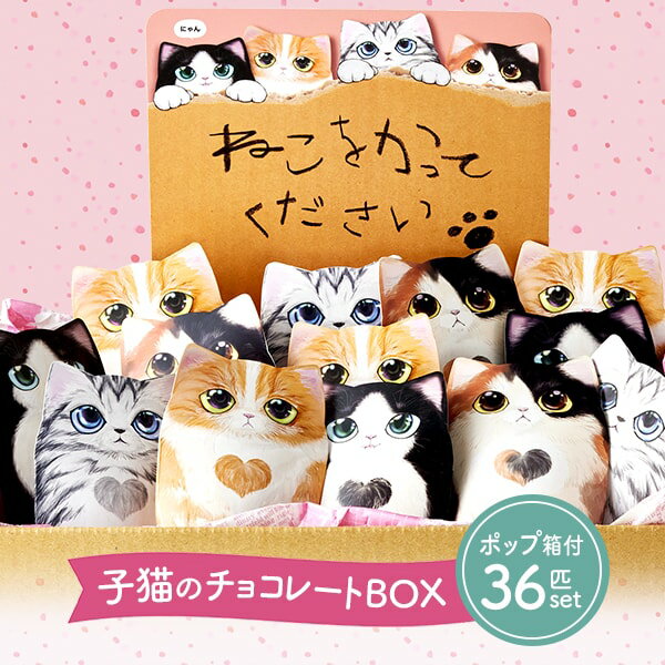 送料無料 スイーツ ギフト 父の日 プレゼント チョコレート コフレシャトン 子猫 4柄ミックス 36個入 セット ポップ付き ボックス 箱 詰め合わせ 個包装 結婚式 2次会 手配り お配り用 お菓子 プチギフト まとめ買い 大量 職場 ネコ かわいい CAT20 【のし・包装不可】