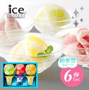 ダンケ 凍らせて食べるアイスデザート 国産フルーツ入り 6号 スイーツ 洋菓子 お中元 夏ギフト ギフト 詰め合わせ セット 内祝い アイスクリーム IDE-1...
