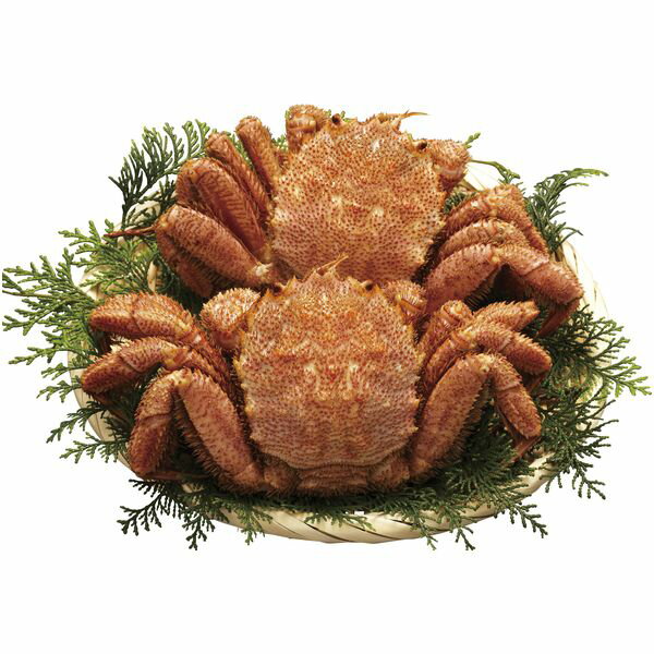 内祝い お返し 送料無料 海鮮 魚介 �