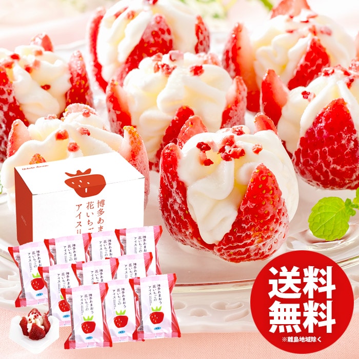 内祝い お返し 送料無料 アイスクリーム スイーツ お歳暮 冬ギフト ギフト お菓子 博多あまおう 花いちごのアイス 10個入 セット 詰め合わせ 出産内祝い 結婚内祝い 結婚祝い 出産祝い 引き出物 香典返し お祝い返し 引越し 挨拶 お礼 A-DS メーカー直送 【代引不可】