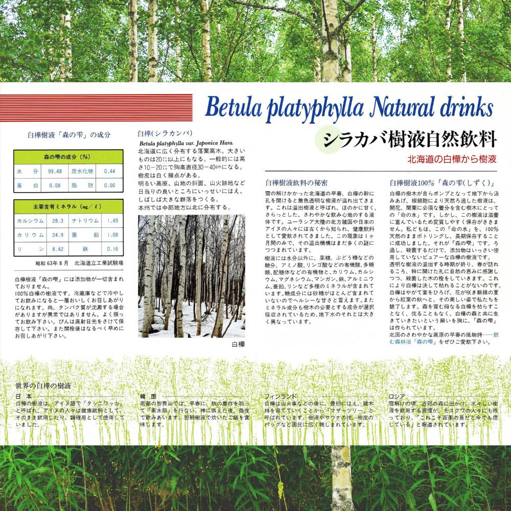 白樺樹液100％ 北海道産 無添加天然水 ほんのり甘く澄みきる 森の雫 180ml×6本 白樺樹液 自然飲料 ミネラルウォーター ミネラル豊富 ミネラル 美容 健康 国産 白樺水 白樺 ドリンク 希少 水 天然水 森の天然水 清涼飲料水 すっきり さわやか 自然の恵み さっぷ happy-mint-online-10000177 Happy Mint こだわり食品と日用品 サンプル画像2