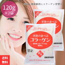 コラーゲン 華舞の食べるコラーゲン 120g ×2袋 セット コラーゲンパウダー コラーゲン 粉末 collagen 脂質0 美容 健康