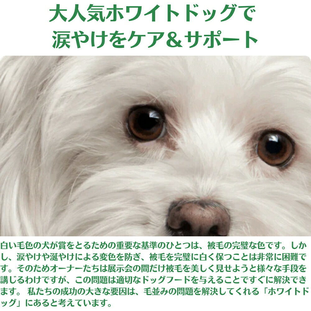 ��2�ޥ��å� ����3��12���� �Ƹ� �ޤ䤱�������ӡ���ʢ������ �ͥ����㡼���ץ��ƥ������ �ۥ磻�ȥɥå� ���쥤��ե꡼ �ۥ磻�ȥե��å��� ����˥� 1.5kg �� �Ҹ� �ɥå��ա��� �ۥ磻�� �ɥå� �޾Ƥ� �ò� �ۥ磻�ȥɥå� �ɥå��ա��� �Ҹ� ���� ������ �������Ӹ�