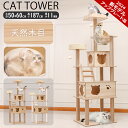 キャットタワー 木製 猫ハウス 猫 爪研ぎ ベッド 小型 据え置き型 ペット用品 おもちゃ 家具の破損防止 矮猫 子猫