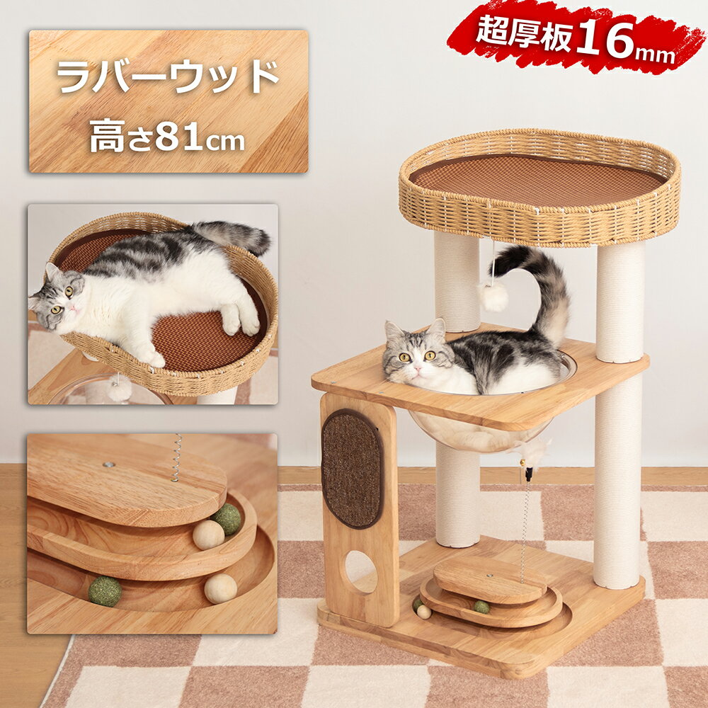 楽天市場】キャットタワー 子猫の通販 楽天市場】キャットタワー 子猫の通販