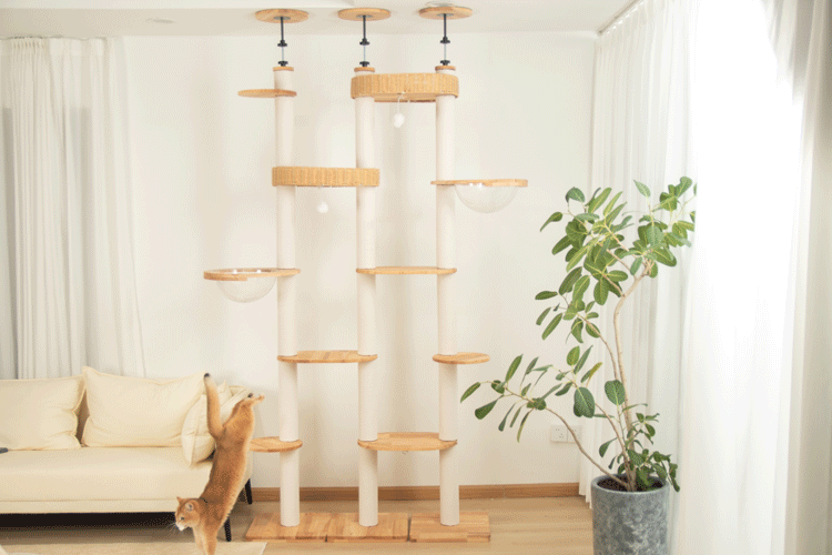 【クーポン5000円OFF⇒24800円】＼形態アレンジ可能／ キャットタワー 突っ張り 木製 3Way組立 省スペース インテリア性 安定性 おしゃれ 大型猫 スリム 多頭飼い 天然木 見晴台 シニア 登りやすい キャットツリー 宇宙船 クリアボウル 爪とぎ 運動不足解消 コットン紐 2