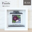 【インテリアフレーム piccolo -ピッコロ-】 新築祝い 開店祝い オープン記念 アートフレーム おしゃれ 誕生日プレゼント 造花 名前 ギフト 壁掛け ...