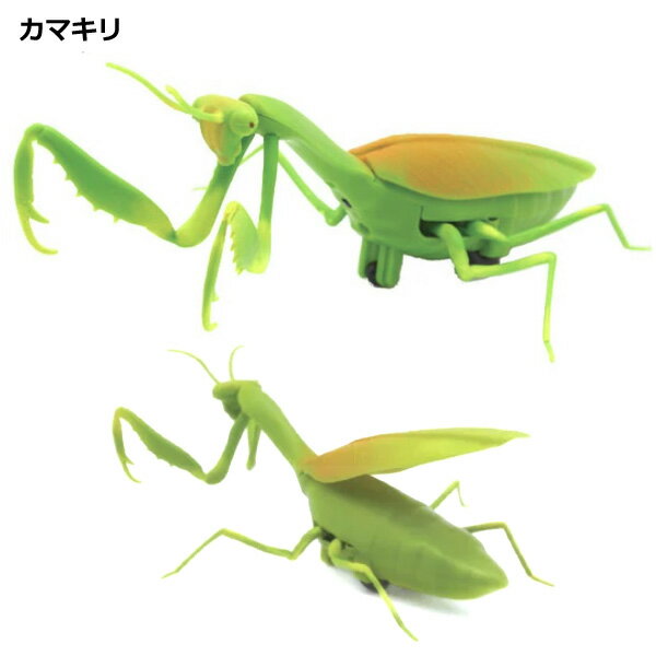 おうち時間におすすめ 子供に大人気の昆虫 生き物ラジコン ラジコン 赤外線rc 生きもの カブトムシ ヘラクレスオオカブト カマキリ バッタ ジャイアントビー エビ 昆虫 カブト虫 かぶとむし かまきり 蜂 ハチ えび 子供 おもちゃ 玩具 室内 室内遊び キッズ 男の子