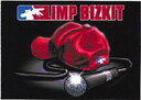 【送料無料】リンプビズキット ポスター LIMP BIZKIT リンプ・ビズキット リンプ アメリカ ニューメタル ラップメタル バンド US ミクスチャー ヘ...